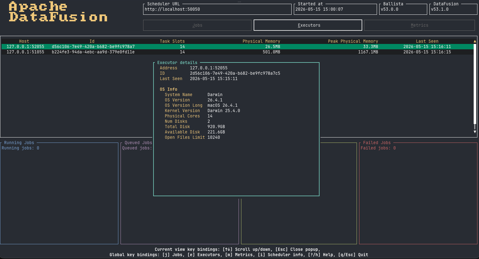 TUI Executor Details popup